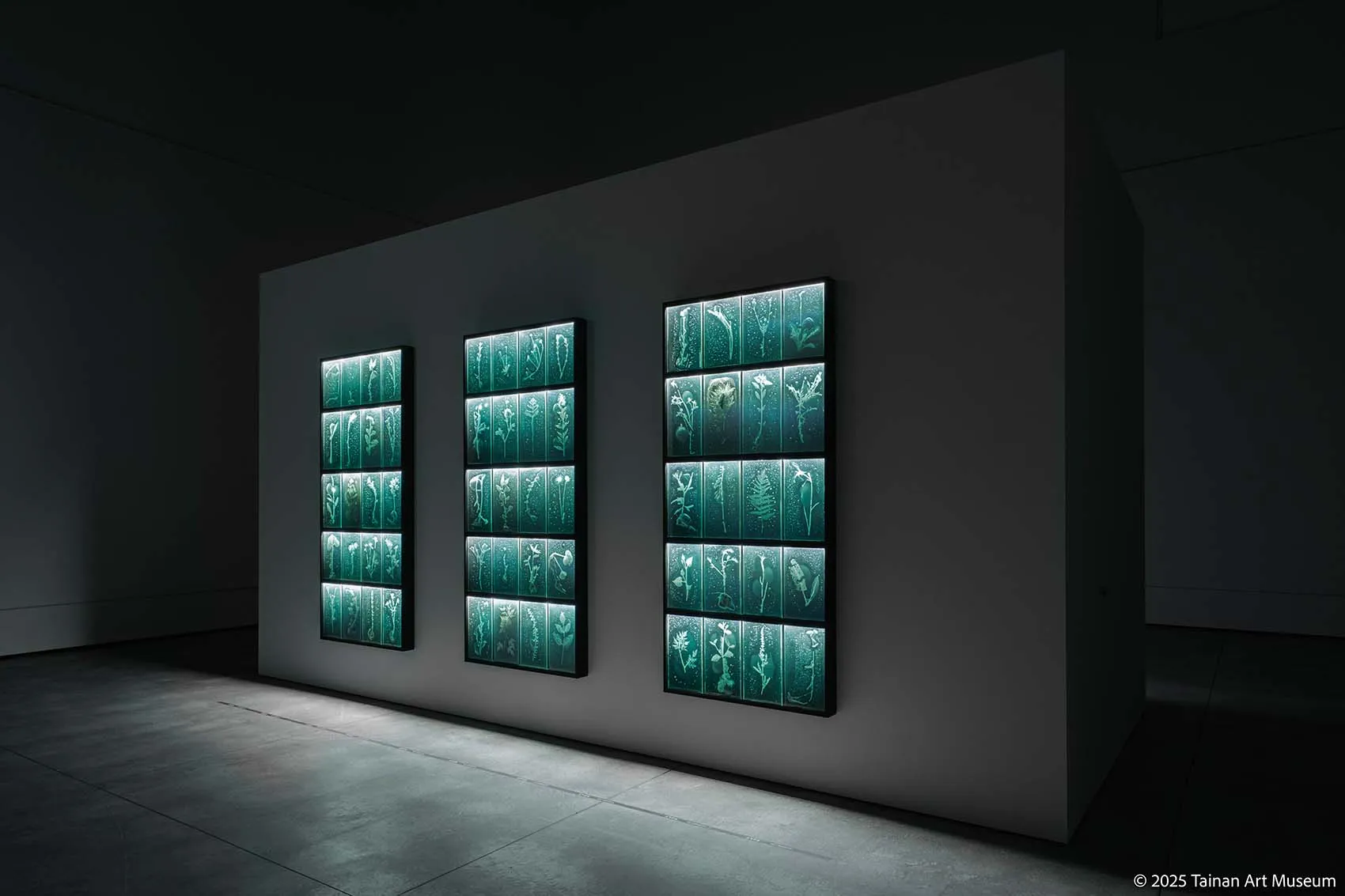 佐々木類《記憶の眠り》