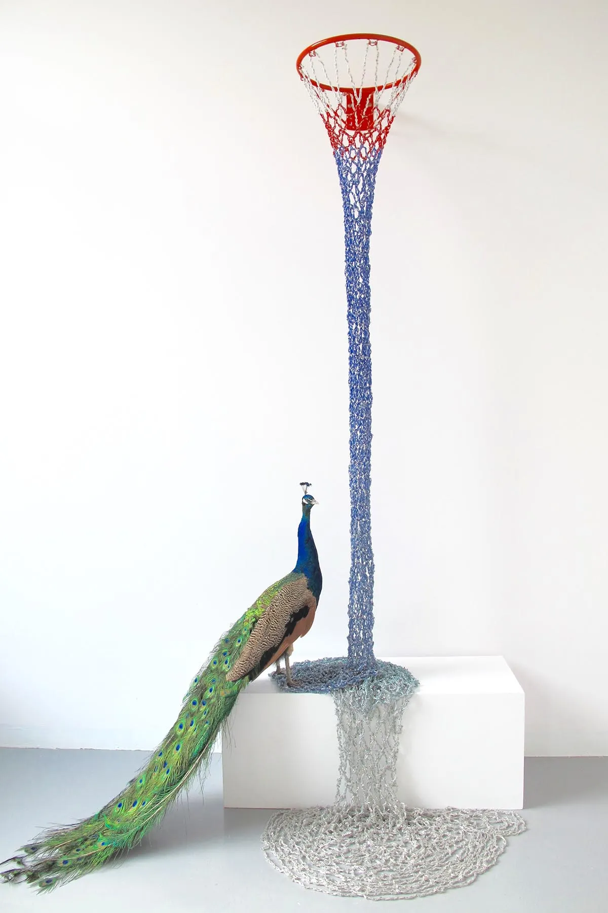 シゲ・フジシロ《Where is my paradise? (Basketballgoal /waterfall)》